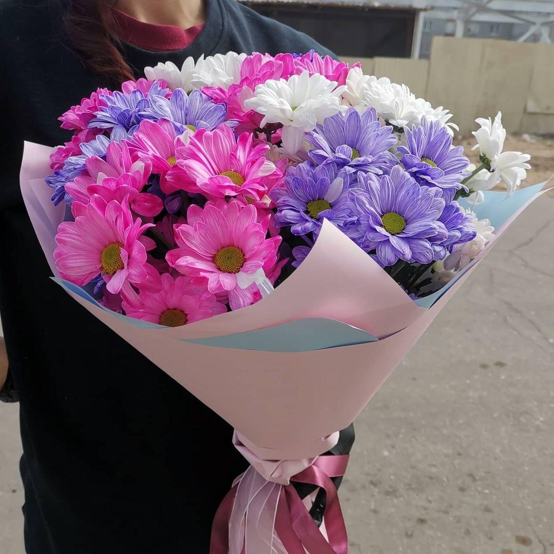Недорогие букеты тюмень. 7 Кустовых хризантем. 13 Кустовых хризантем. 1 Хризантема в упаковке. Цветы Волжский